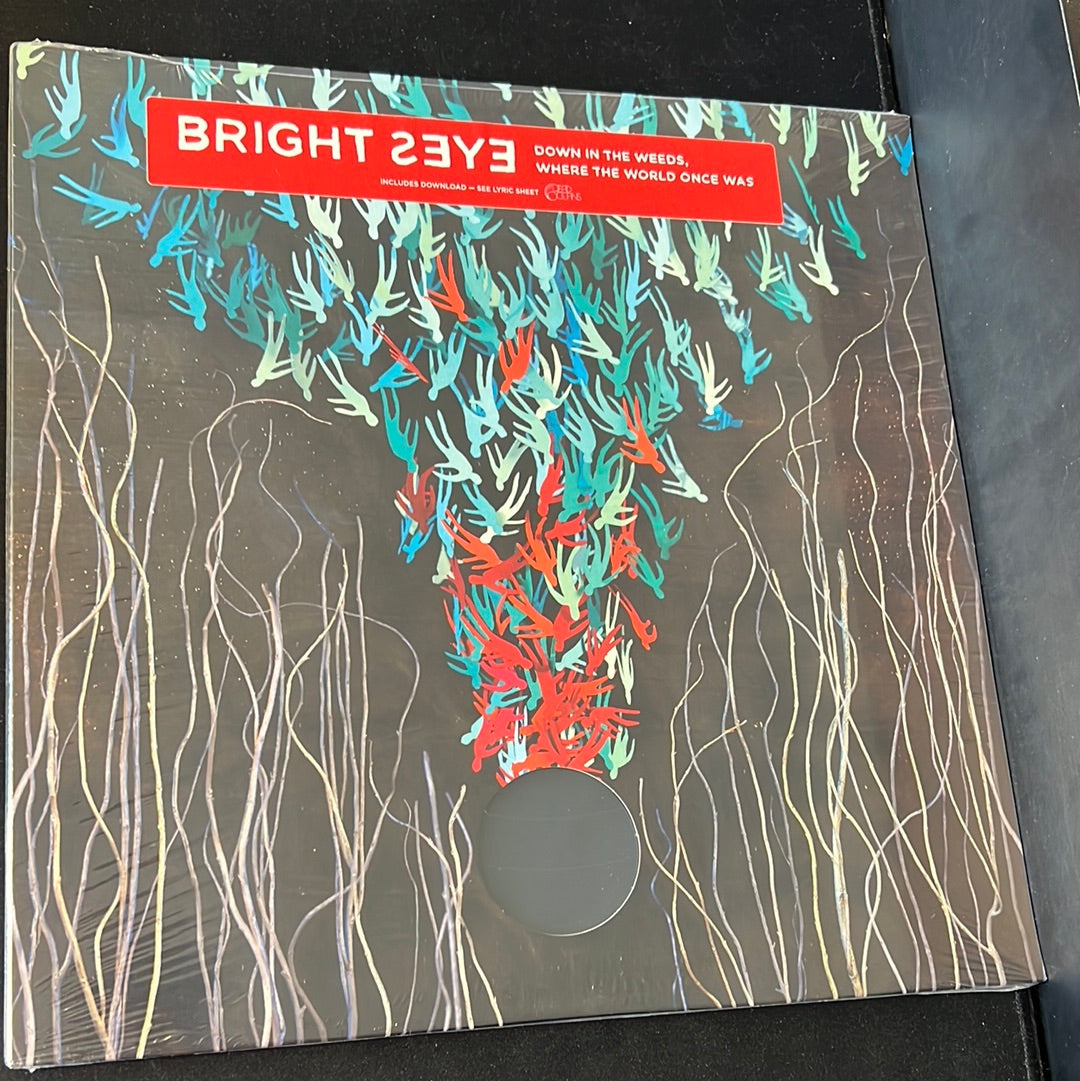BRIGHT EYES - down in the weeds, where the world once was