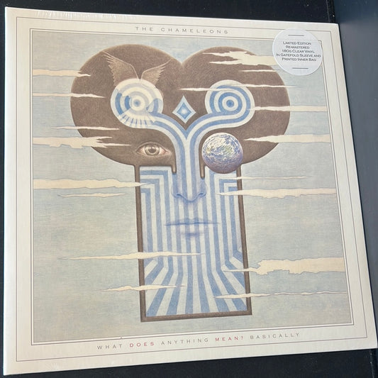 THE CHAMELEONS - what does anything mean? Basically