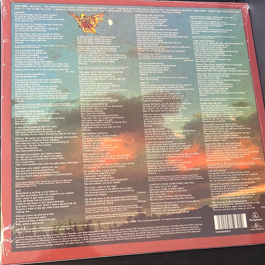 KATE BUSH - the kick inside