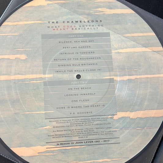 THE CHAMELEONS - what does anything mean? Basically