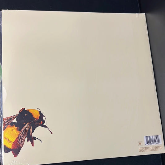 TYLER, THE CREATOR - scum fuck flower boy