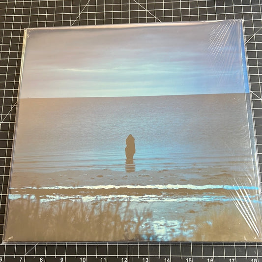STEVEN WILSON “catalogue/preserve/amass”