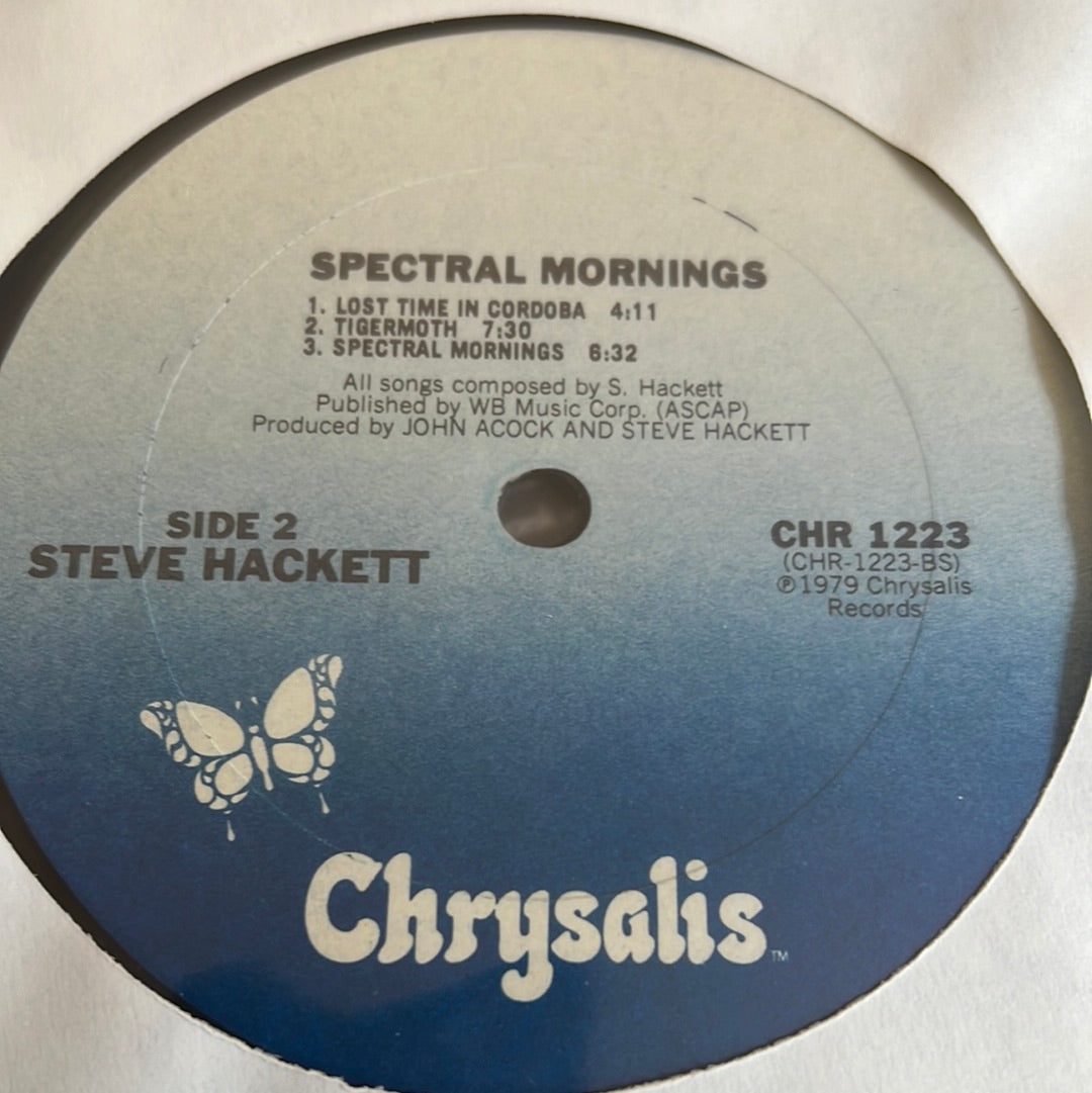 STEVE HACKETT “special morning”