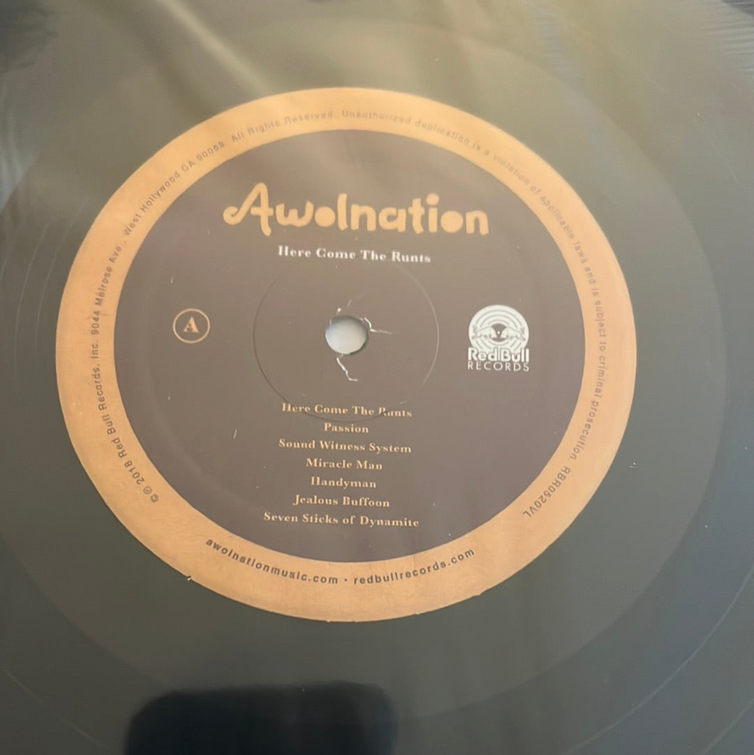 AWOLNATION - here comes the runts