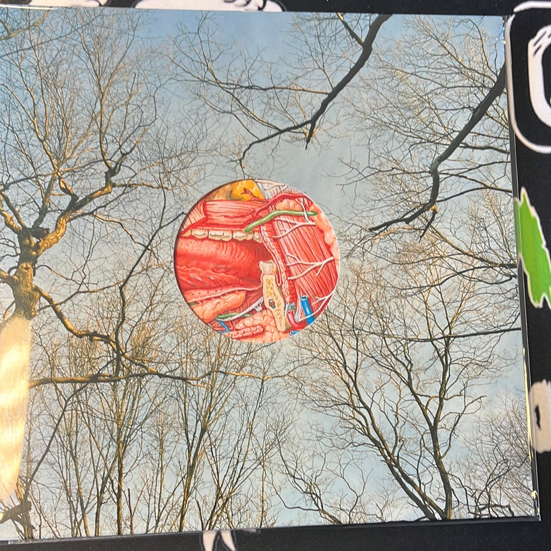 THEY MIGHT BE GIANTS - Glean