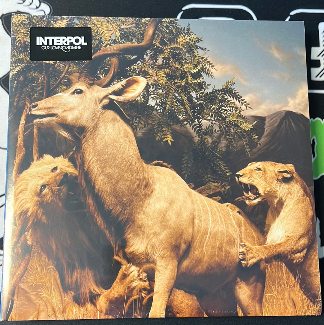 INTERPOL - our love to admire