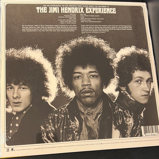 JIMI HENDRIX - are you experienced