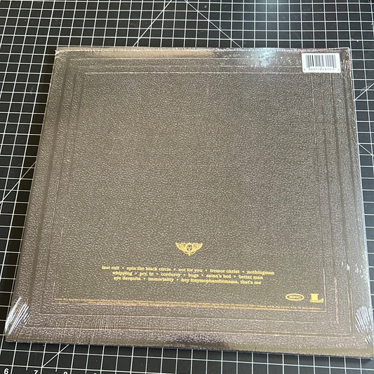 PEARL JAM “vitalogy”