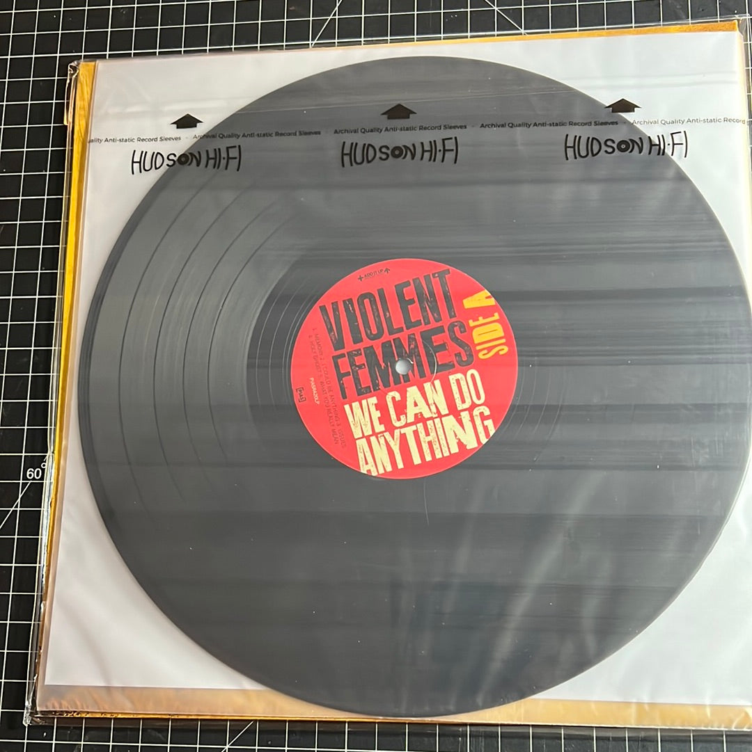 VIOLENT FEMMES “we can do anything”