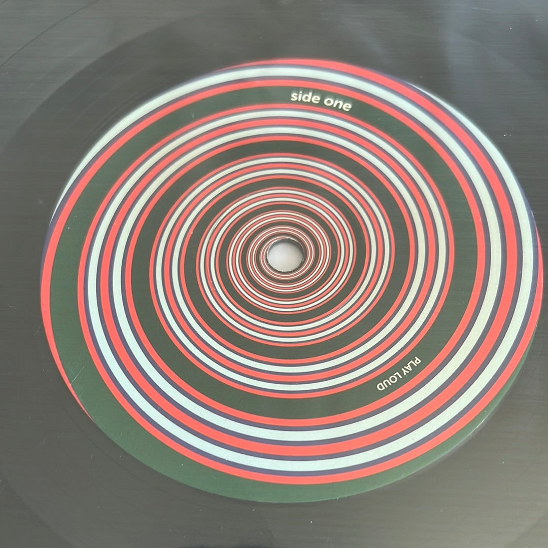 THE RED-SIDED GARTER SNAKES “endless sea”