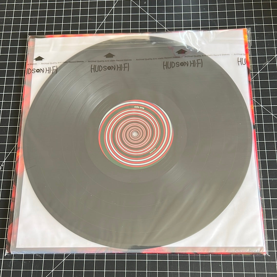 THE RED-SIDED GARTER SNAKES “endless sea”