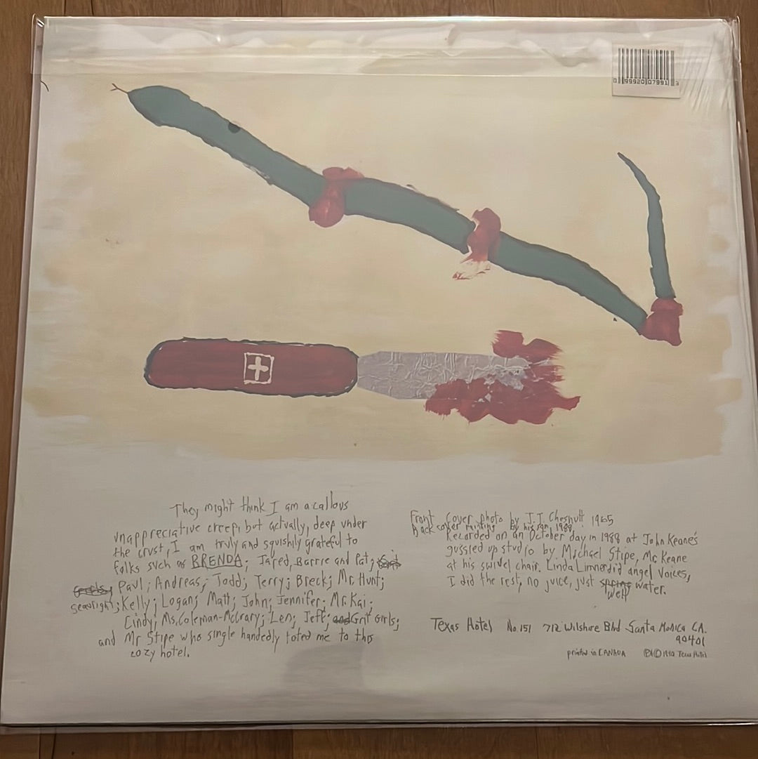 VIC CHESNUTT - little