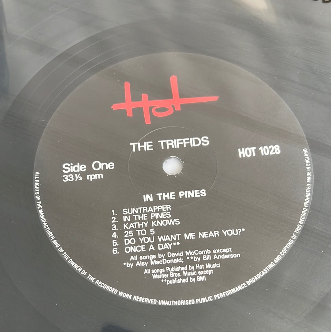 THE TRIFFIDS “in the pines”