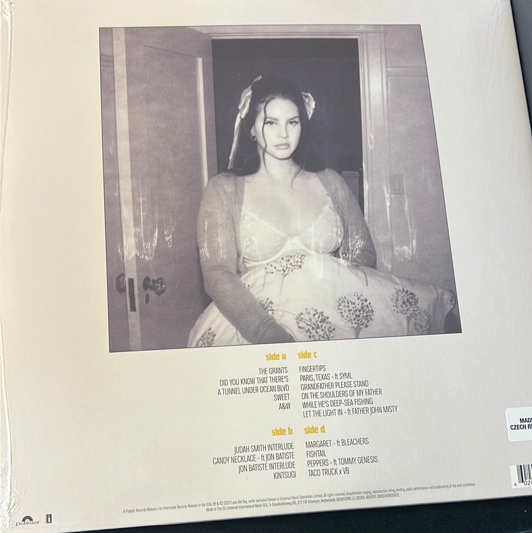LANA DEL REY - did you know that there’s a tunnel under ocean blvd