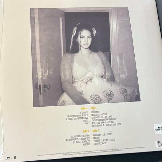 LANA DEL REY - did you know that there’s a tunnel under ocean blvd