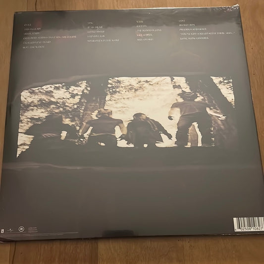 QUEENS OF THE STONE AGE - lullabies to paralyze