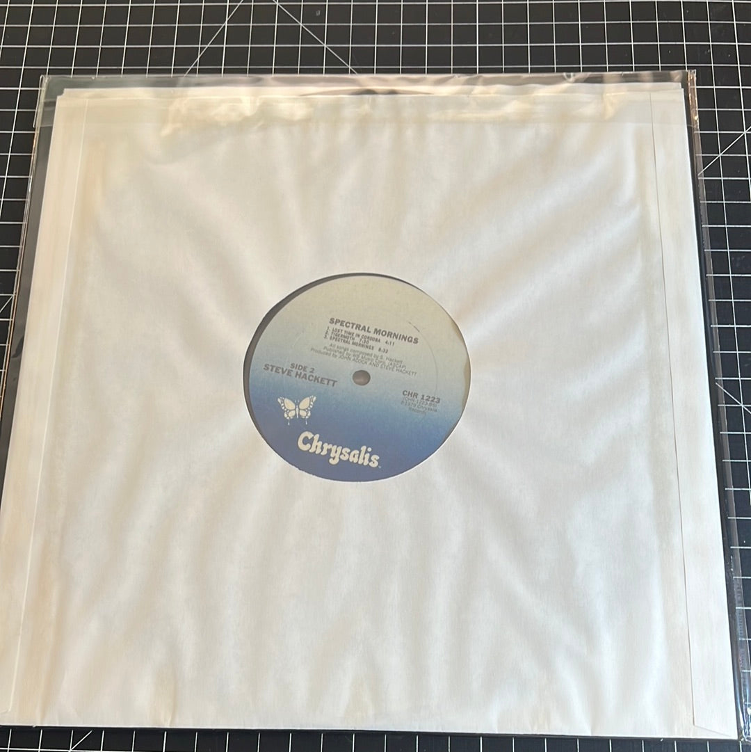 STEVE HACKETT “special morning”