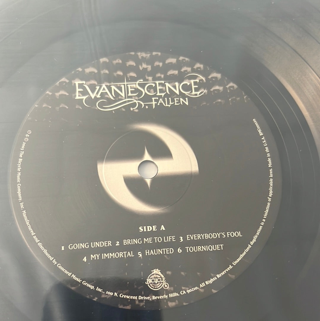 EVANESCENCE - fallen
