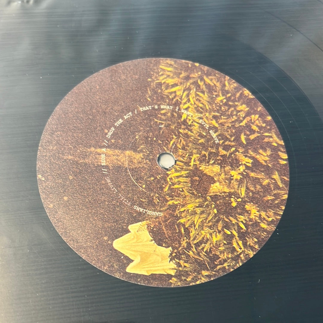 GANGLIANS - still living