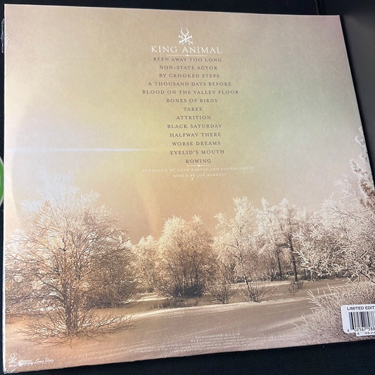 SOUNDGARDEN - King Animal