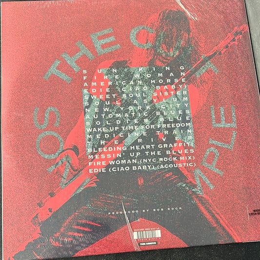 THE CULT - sonic temple