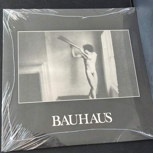 BAUHAUS - in the flat field