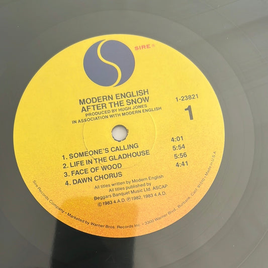 MODERN ENGLISH - after the snow