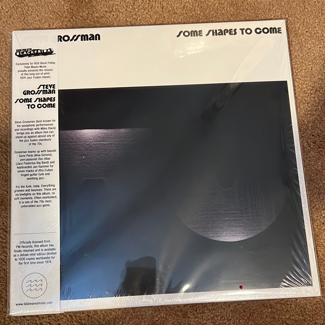 STEVE GROSSMAN - some shapes to come