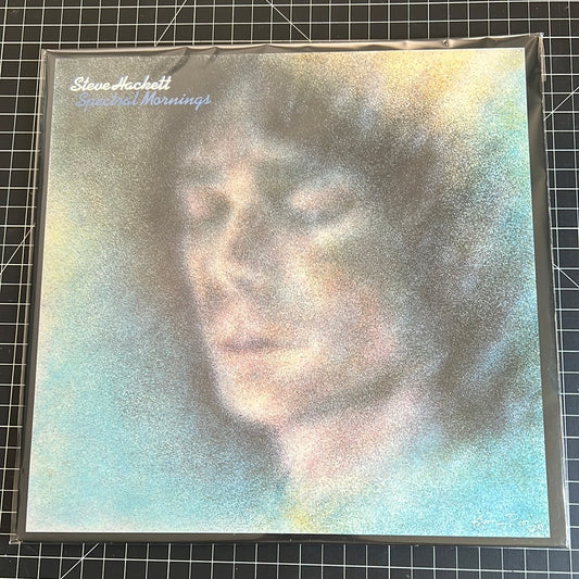 STEVE HACKETT “special morning”