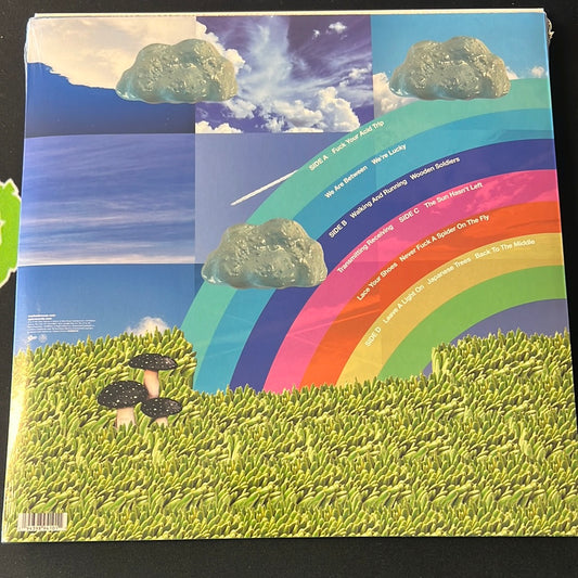 MODEST MOUSE - the golden casket