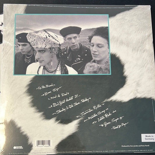 JANE’S ADDICTION - nothing’s shocking