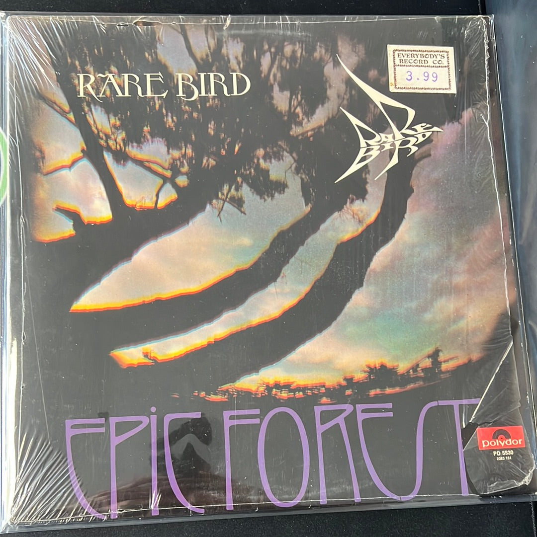 RARE BIRD - epic forest