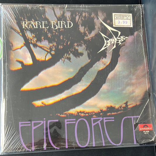 RARE BIRD - epic forest