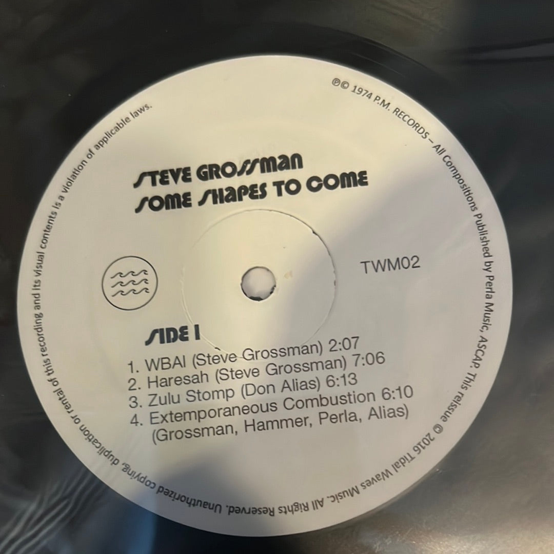 STEVE GROSSMAN - some shapes to come