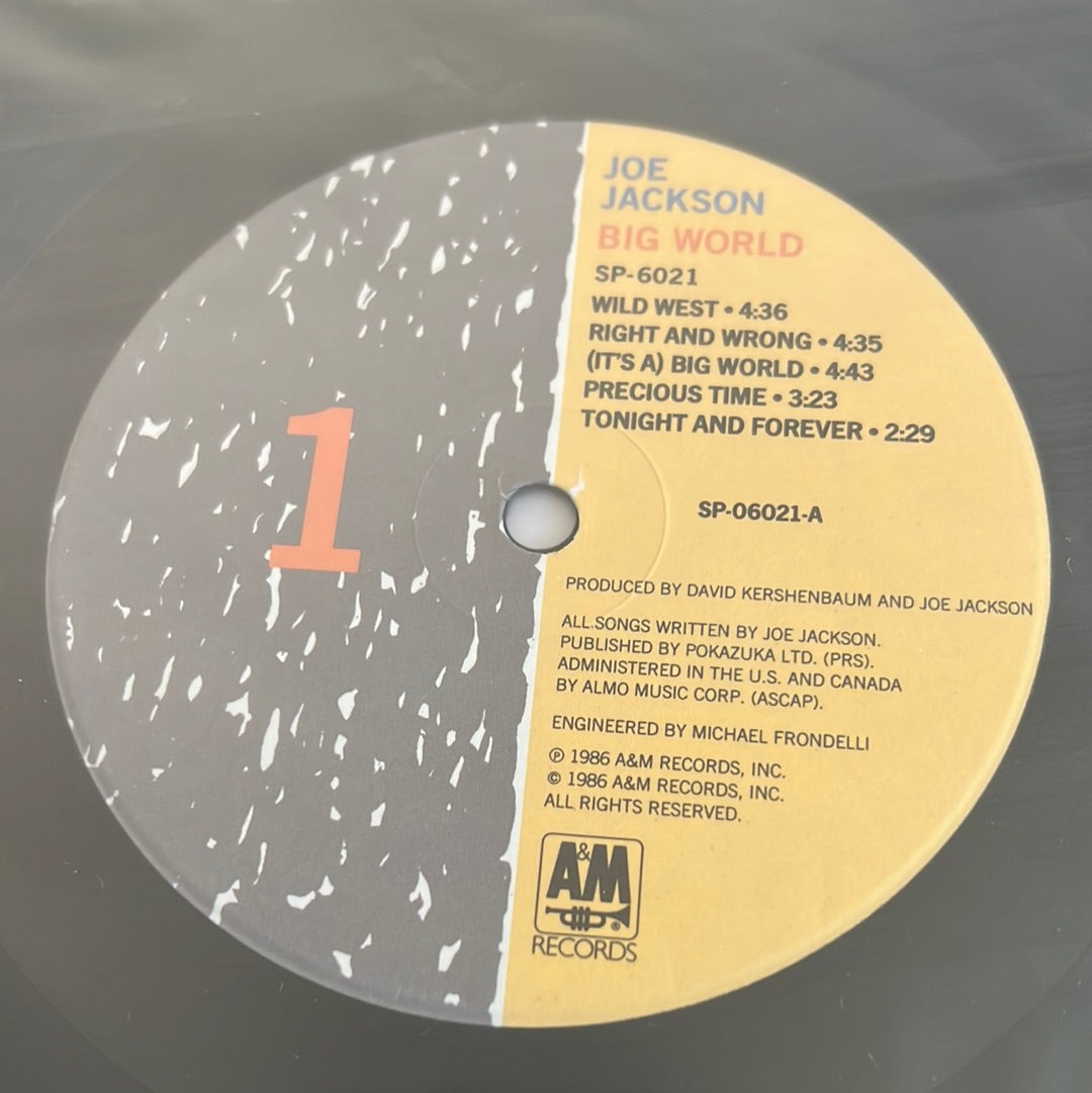 JOE JACKSON - big world