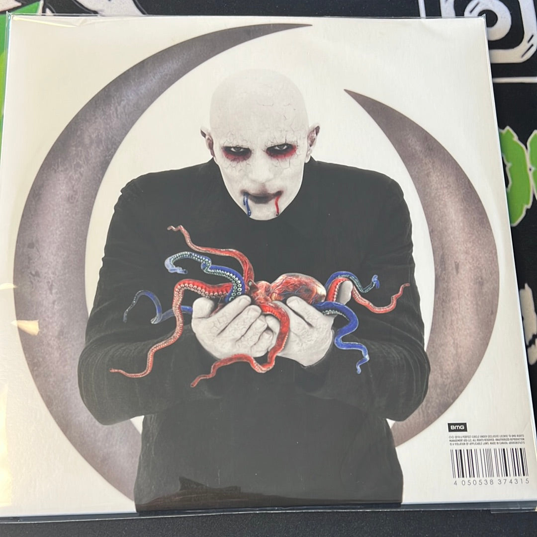 A PERFECT CIRCLE - eat the elephant