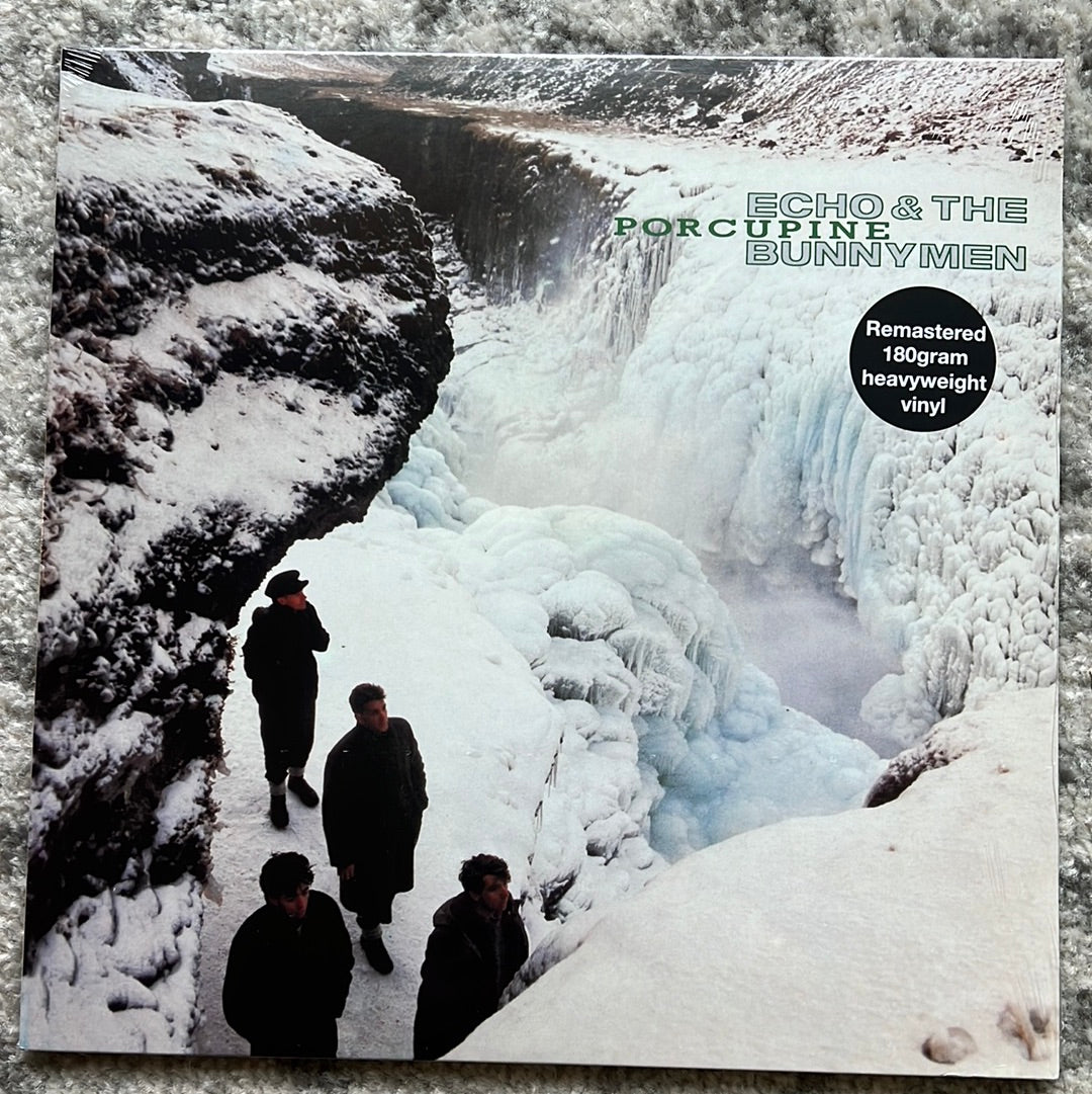 ECHO AND THE BUNNYMEN - Porcupine