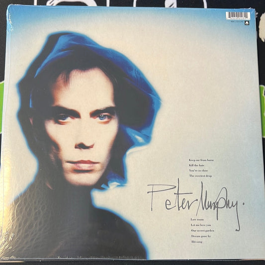 PETER MURPHY - holy smoke