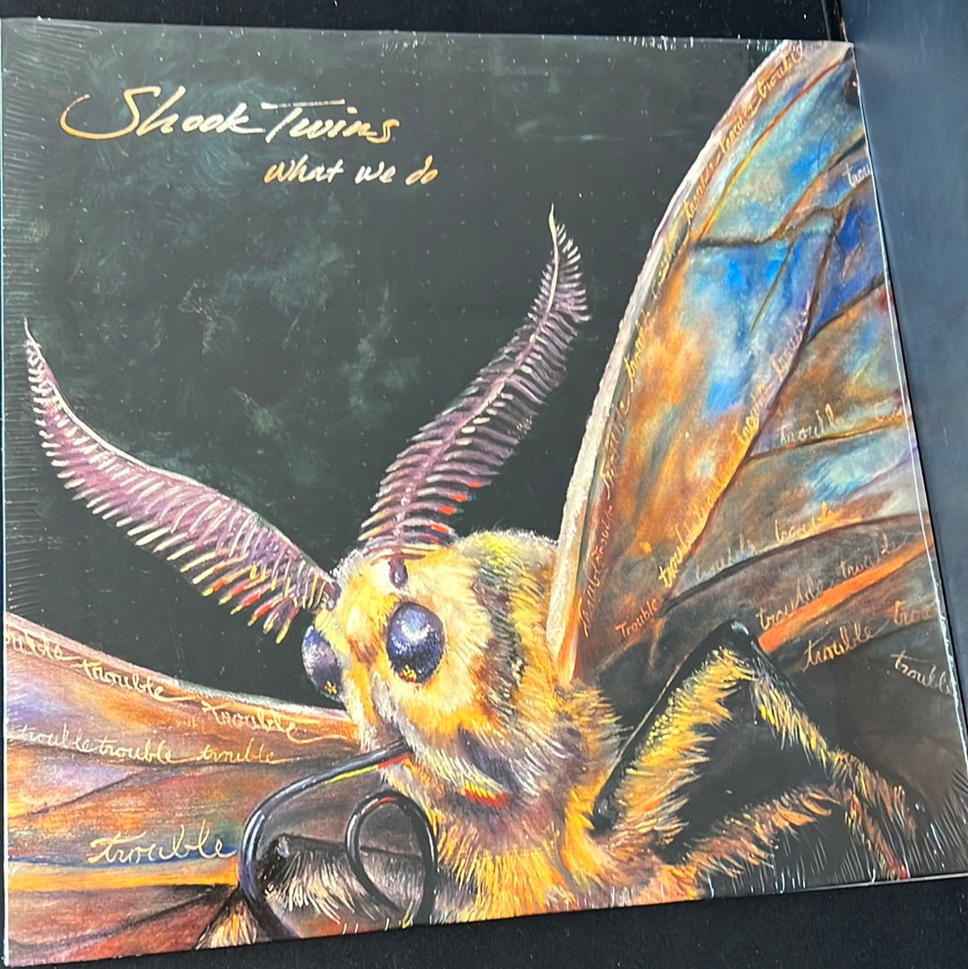 SHOOK TWINS - what we do