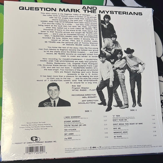 ? AND THE MYSTERIANS - 96 Tears
