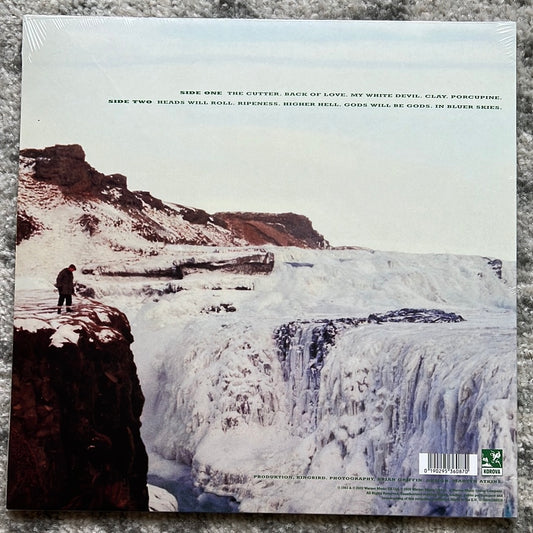 ECHO AND THE BUNNYMEN - Porcupine