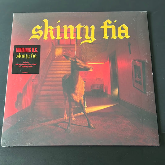 FONTAINES D.C. - skinty fia
