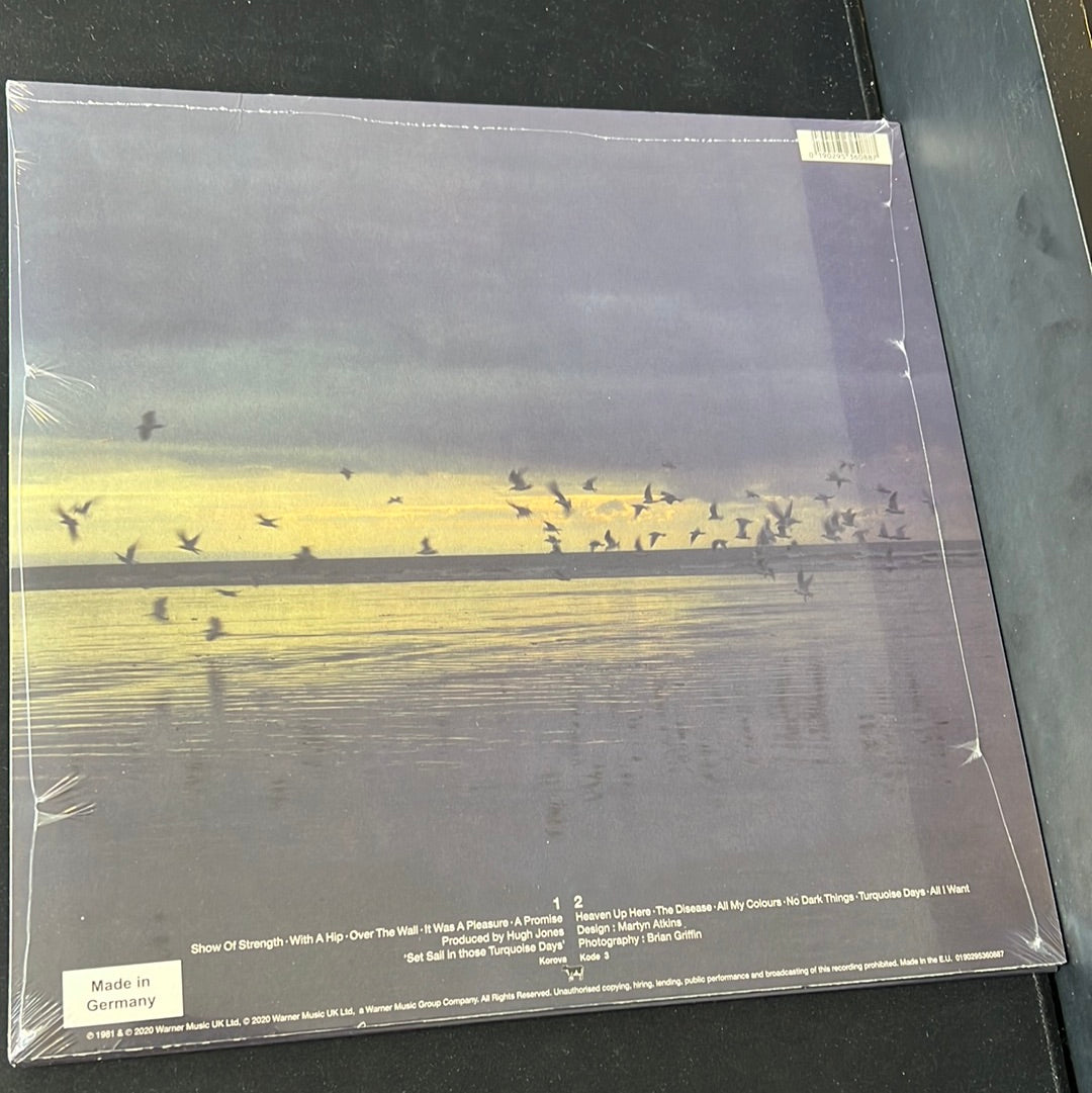 ECHO AND THE BUNNYMEN - heaven up here