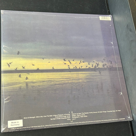 ECHO AND THE BUNNYMEN - heaven up here