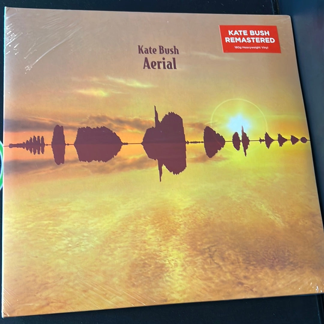 KATE BUSH - Aerial