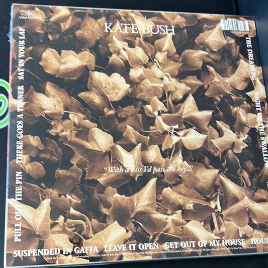 KATE BUSH - the dreaming