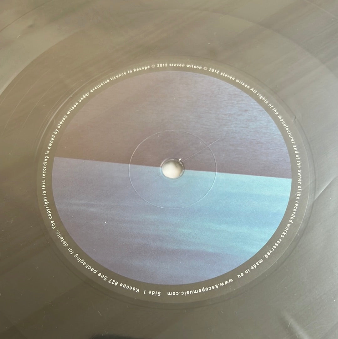 STEVEN WILSON “catalogue/preserve/amass”