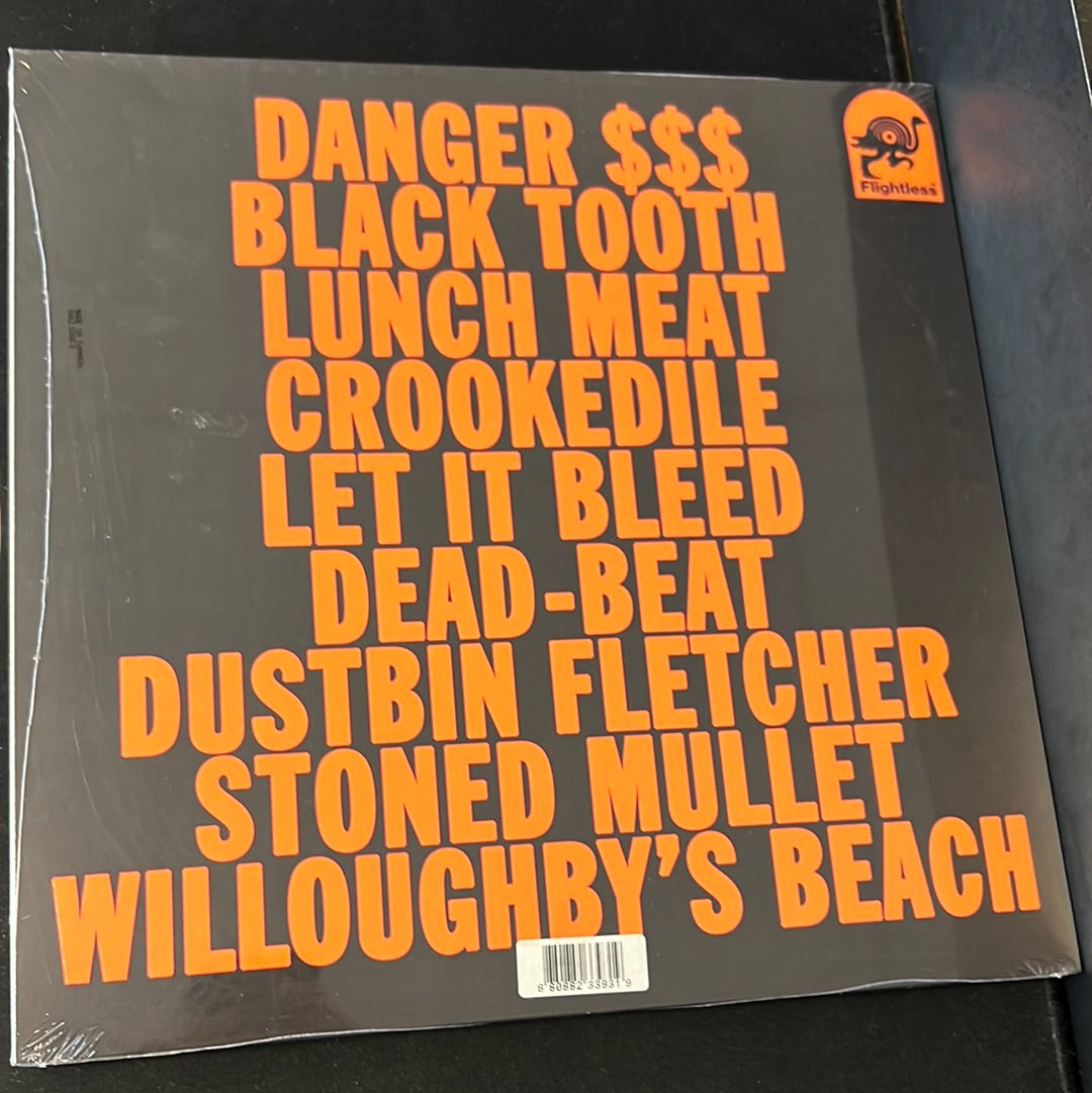 KING GIZZARD & THE LIZARD WIZARD - willoughby’s beach