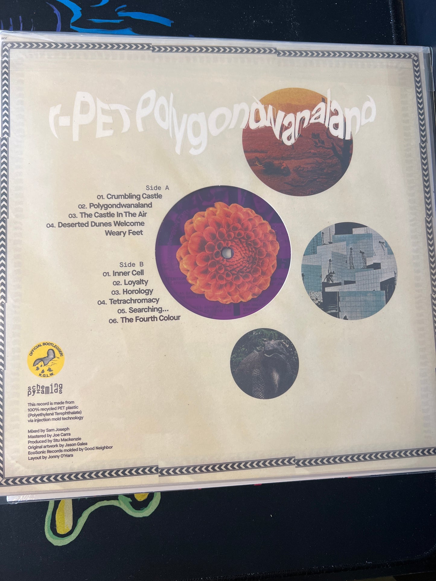KING GIZZARD & THE LIZARD WIZARD - polygondwanaland