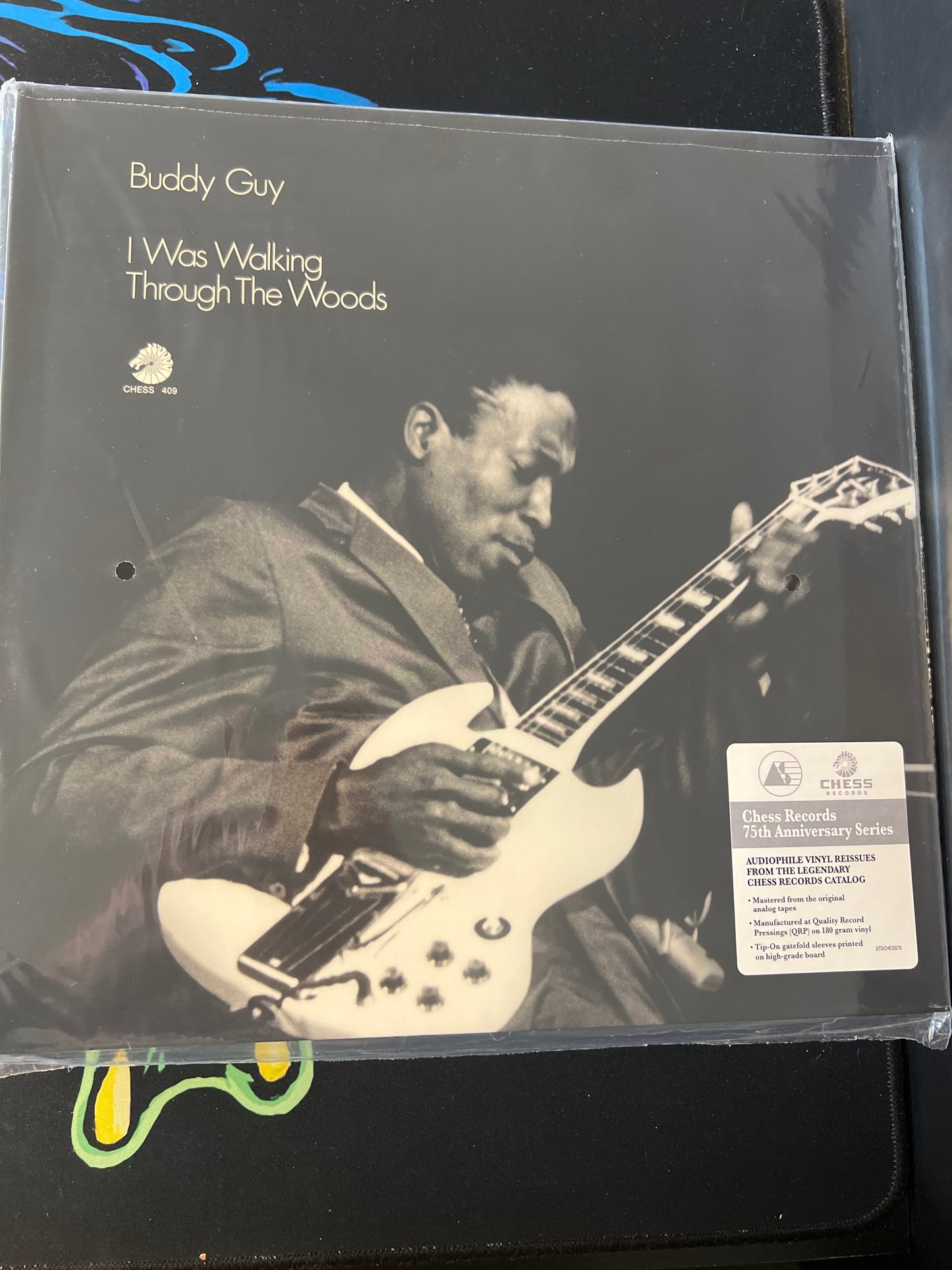 BUDDY GUY - I was walking through the woods